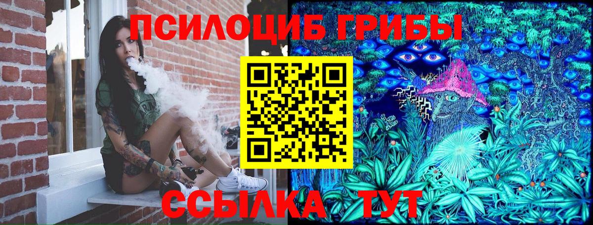 Хабаровск  Псилоцибиновые грибы MAGIC MUSHROOMS  Вход с VPN 